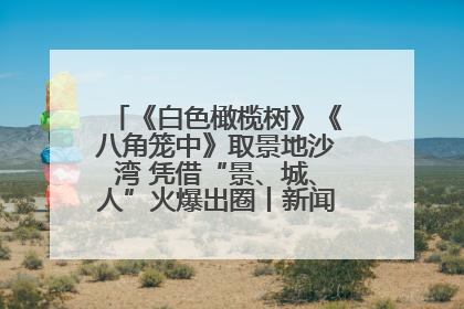 《白色橄榄树》《八角笼中》取景地沙湾 凭借“景、城、人”火爆出圈丨新闻发布最前线