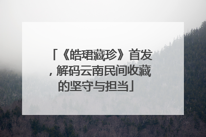 《皓珺藏珍》首发，解码云南民间收藏的坚守与担当