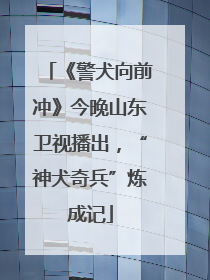 《警犬向前冲》今晚山东卫视播出，“神犬奇兵”炼成记