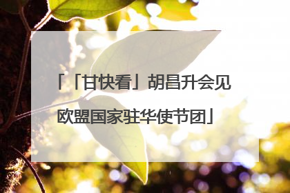 「甘快看」胡昌升会见欧盟国家驻华使节团