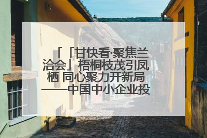 「甘快看·聚焦兰洽会」梧桐枝茂引凤栖 同心聚力开新局——中国中小企业投资洽谈会侧记