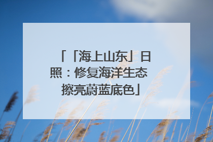 「海上山东」日照：修复海洋生态 擦亮蔚蓝底色