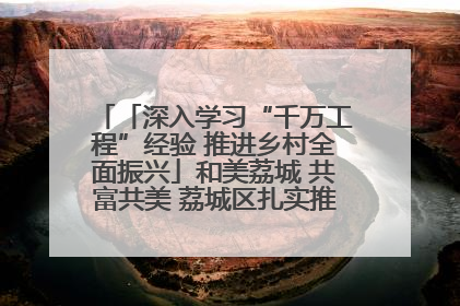 「深入学习“千万工程”经验 推进乡村全面振兴」和美荔城 共富共美 荔城区扎实推进乡村振兴工作
