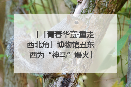 「青春华章·重走西北角」博物馆丑东西为“神马”爆火