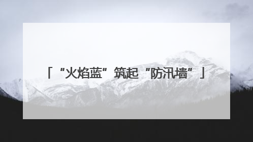 “火焰蓝”筑起“防汛墙”