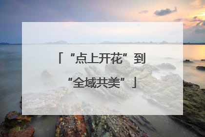 “点上开花”到“全域共美”