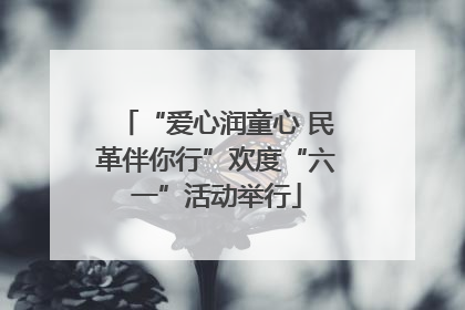 “爱心润童心 民革伴你行”欢度“六一”活动举行