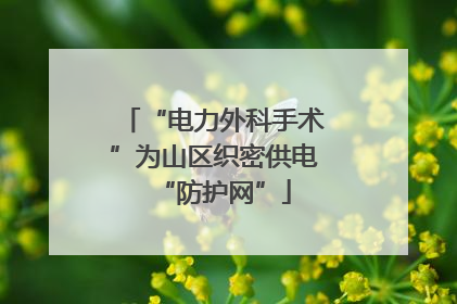 “电力外科手术”为山区织密供电“防护网”