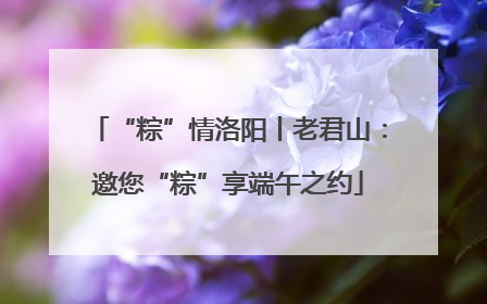 “粽”情洛阳丨老君山：邀您“粽”享端午之约