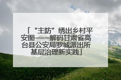 “主防”绣出乡村平安图——解码甘肃省高台县公安局罗城派出所基层治理新实践