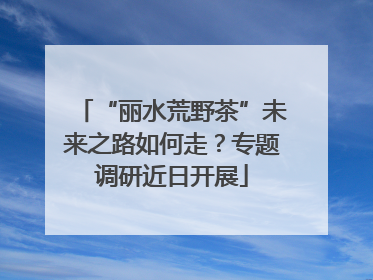 “丽水荒野茶”未来之路如何走？专题调研近日开展