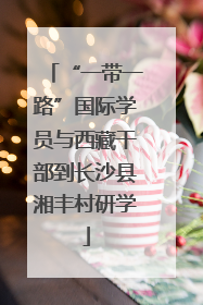 “一带一路”国际学员与西藏干部到长沙县湘丰村研学