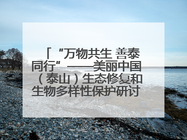 “万物共生 善泰同行”——美丽中国（泰山）生态修复和生物多样性保护研讨会成功举办