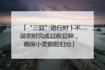 “三夏”进行时丨不误农时完成夏收夏种，确保小麦颗粒归仓