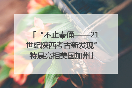“不止秦俑——21世纪陕西考古新发现”特展亮相美国加州