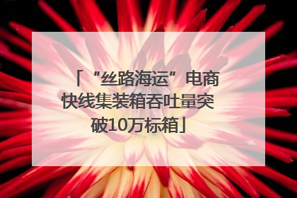 “丝路海运”电商快线集装箱吞吐量突破10万标箱