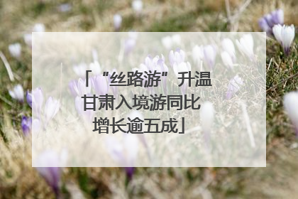 “丝路游”升温 甘肃入境游同比增长逾五成