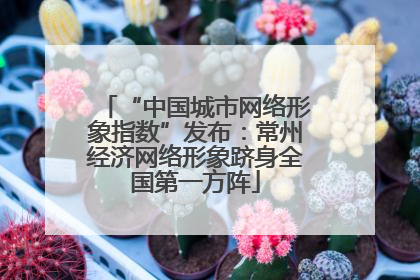 “中国城市网络形象指数”发布：常州经济网络形象跻身全国第一方阵
