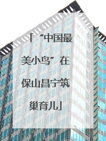 “中国最美小鸟”在保山昌宁筑巢育儿