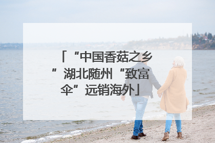 “中国香菇之乡”湖北随州“致富伞”远销海外
