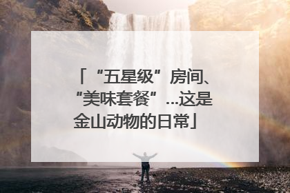 “五星级”房间、“美味套餐”…这是金山动物的日常