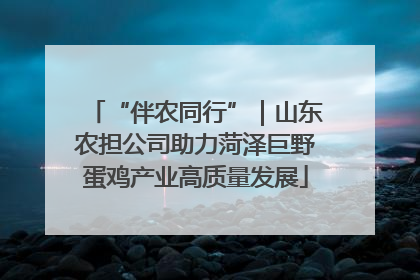 “伴农同行”｜山东农担公司助力菏泽巨野蛋鸡产业高质量发展