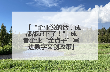 “企业说的话，成都都记下了！” 成都企业“金点子”写进数字文创政策