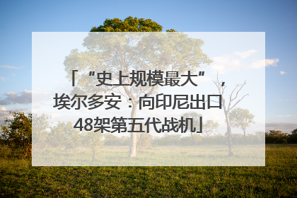 “史上规模最大”，埃尔多安：向印尼出口48架第五代战机