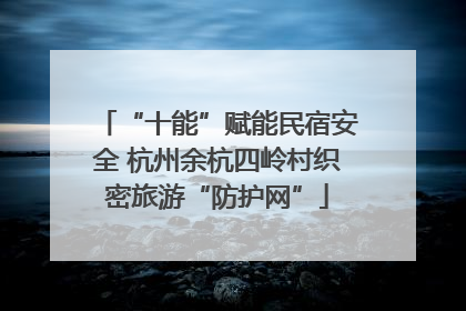 “十能”赋能民宿安全 杭州余杭四岭村织密旅游“防护网”