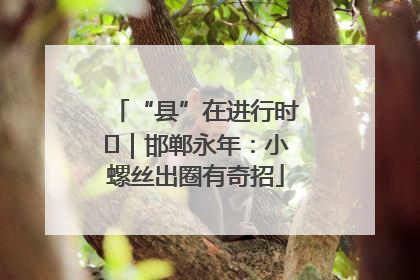 “县”在进行时⑬｜邯郸永年：小螺丝出圈有奇招