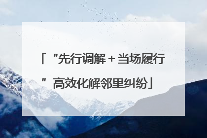 “先行调解＋当场履行”高效化解邻里纠纷