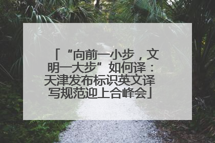 “向前一小步，文明一大步”如何译：天津发布标识英文译写规范迎上合峰会
