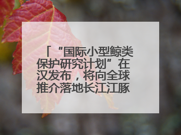 “国际小型鲸类保护研究计划”在汉发布，将向全球推介落地长江江豚保护经验