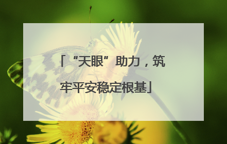 “天眼”助力，筑牢平安稳定根基