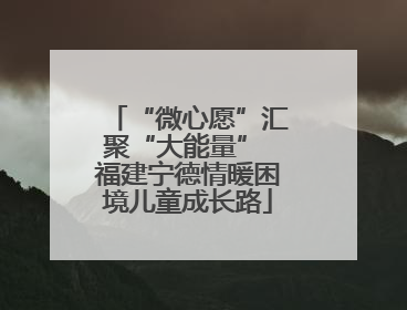 “微心愿”汇聚“大能量” 福建宁德情暖困境儿童成长路