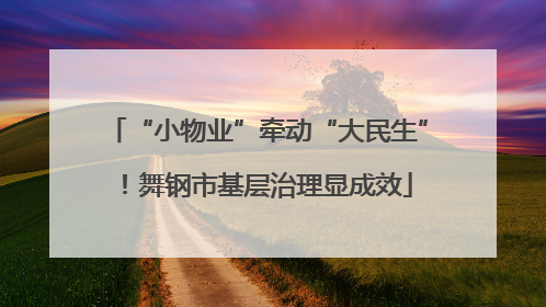 “小物业”牵动“大民生”！舞钢市基层治理显成效