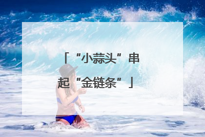 “小蒜头”串起“金链条”