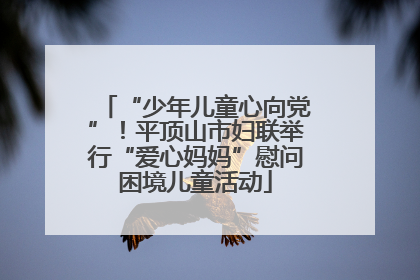“少年儿童心向党”！平顶山市妇联举行“爱心妈妈”慰问困境儿童活动