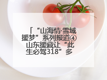 “山海情·雪域援梦”系列报道④ 山东援藏让“此生必驾318”多了N个理由