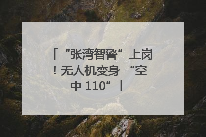 “张湾智警”上岗！无人机变身 “空中 110”