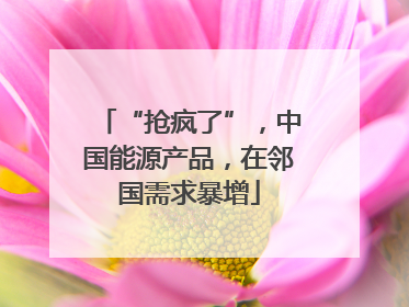 “抢疯了”，中国能源产品，在邻国需求暴增