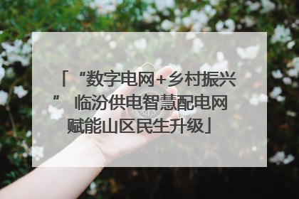 “数字电网+乡村振兴” 临汾供电智慧配电网赋能山区民生升级