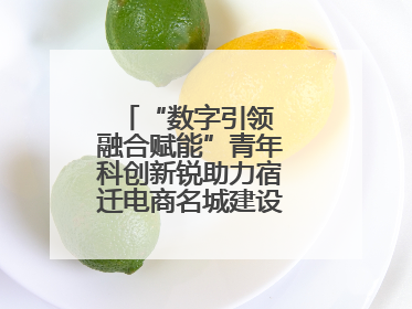 “数字引领 融合赋能”青年科创新锐助力宿迁电商名城建设活动成功举办