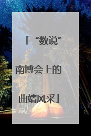 “数说”南博会上的曲靖风采