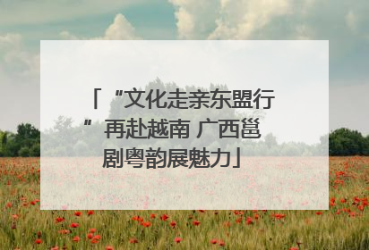 “文化走亲东盟行”再赴越南 广西邕剧粤韵展魅力