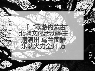 “歌游内蒙古”北疆文化活动季主题演出 乌兰图雅乐队火力全开 万人合唱嗨翻全场