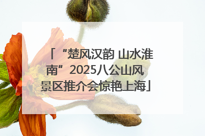 “楚风汉韵 山水淮南”2025八公山风景区推介会惊艳上海