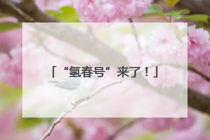 “氢春号”来了！