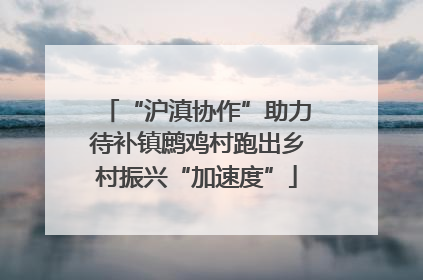 “沪滇协作”助力待补镇鹧鸡村跑出乡村振兴“加速度”