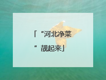 “河北净菜”靓起来
